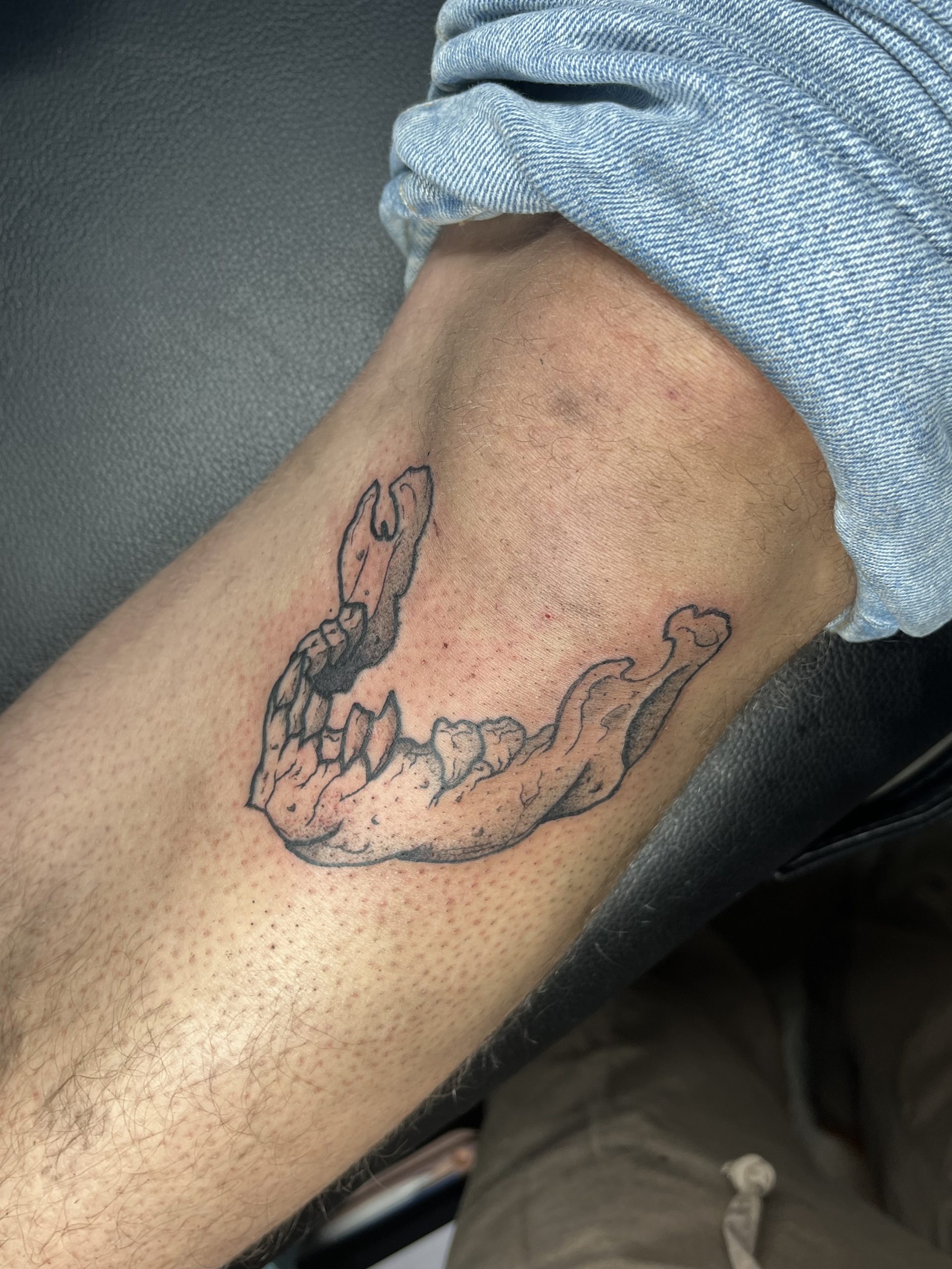 Crâne, Mâchoire, gravure