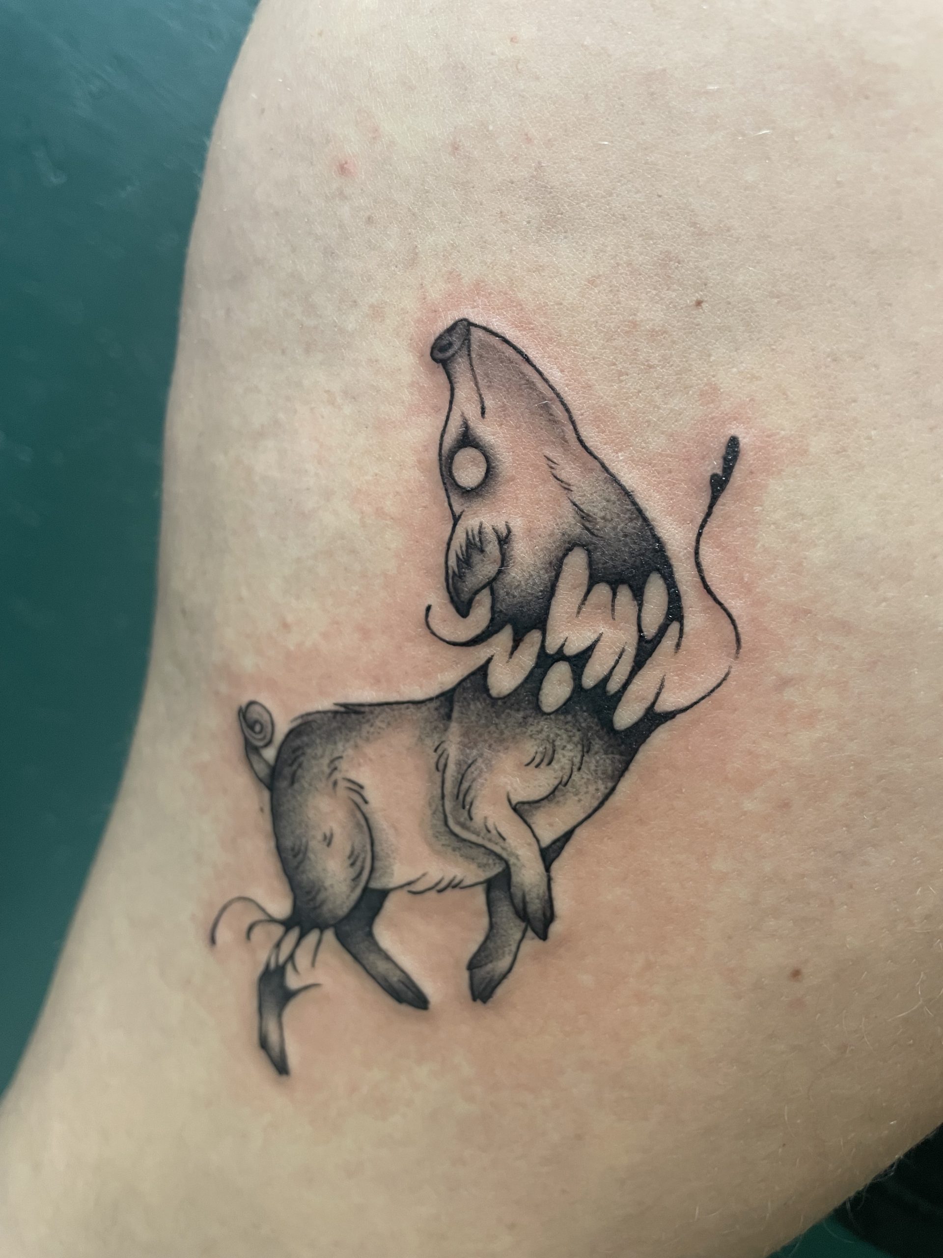 Tatouage, tatouage couleur, tatouage kawaï, kawaï, tatouage floral