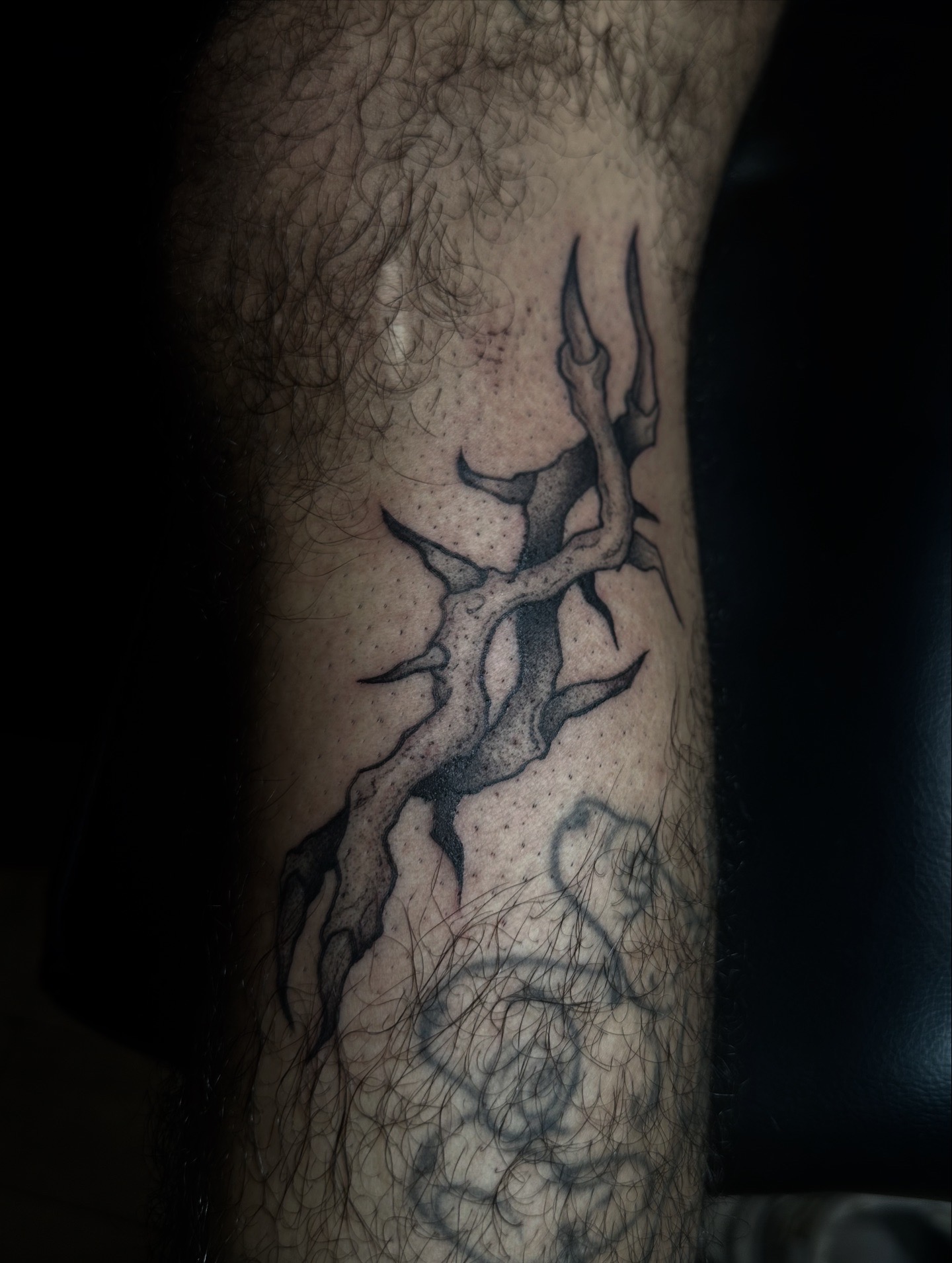 ronce, blackwork, gravure